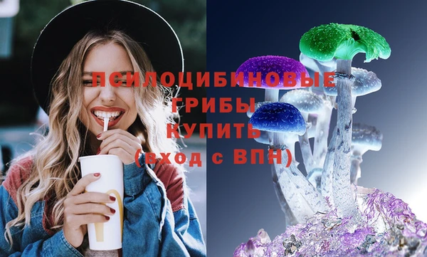 прущие грибы Кодинск