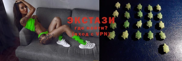 индика Кинешма