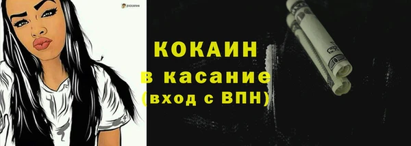 индика Кинешма