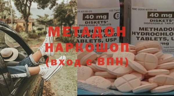 прущие грибы Кодинск