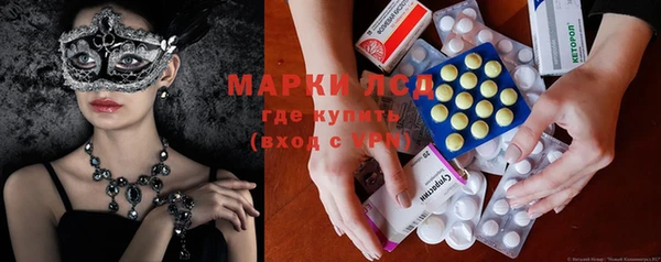 прущие грибы Кодинск