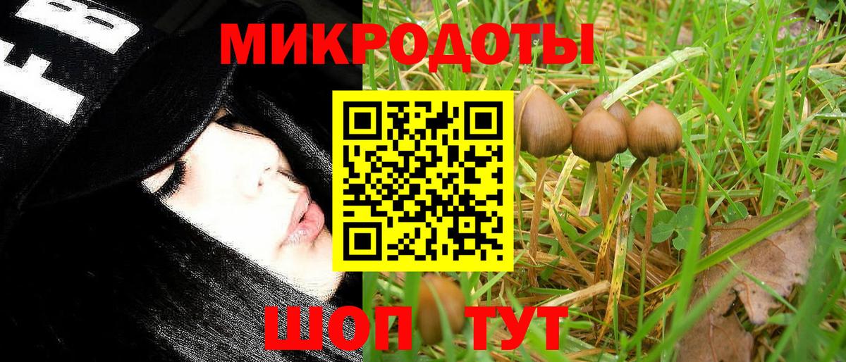 А ПВП Курганинск