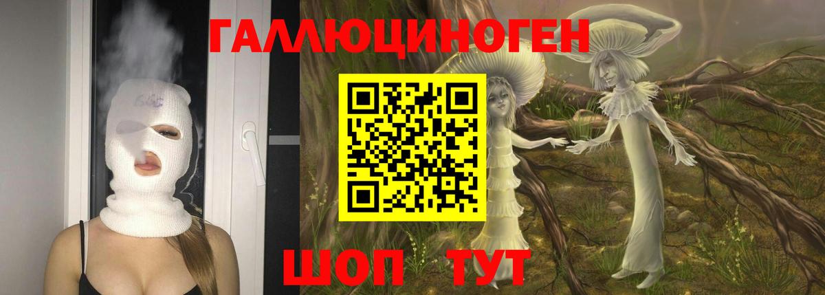купить закладку  Псилоцибиновые грибы мухоморы  Вход с VPN  Курганинск 